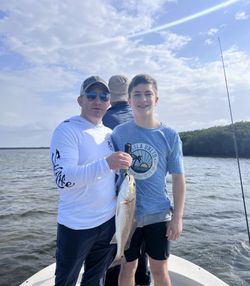 Redfish caught while fishing in Crystal River