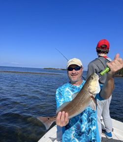 One person fishing in FL