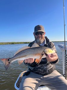 Redfish caught while fishing in Crystal River