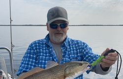 Redfish caught during fishing tour in Crystal River
