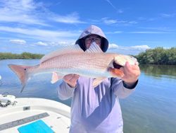 A person fishing for redfish in Crystal River