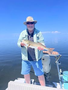 Redfish caught during fishing tour in Crystal River
