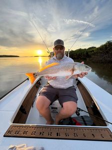 Redfish caught while fishing in Crystal River