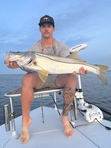 A snook fish caught during a fishing tour in Crystal River