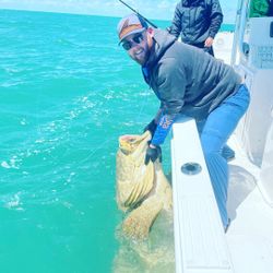 Explore Pompano Fishing Charters Today!