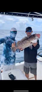 South Florida Fishing Grouper