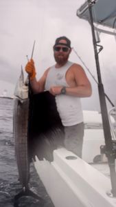 Sailfish Offshore Fishing 