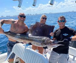 Photograph of a large Atlantic Sailfish caught on a fishing trip in FL