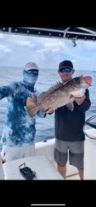 Red Grouper fish caught in FL
