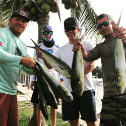 Three big fish caught while fishing in FL