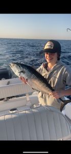 A lone little tunny fish caught in Florida