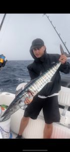 Wahoo fish caught at Pompano Beach