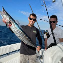 Wahoo fish caught while fishing in FL