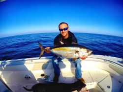 Tuna in Pensacola, FL