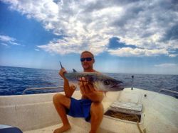 Spanish Tuna in Pensacola, FL
