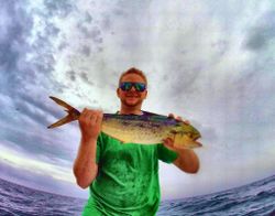 Mahi in Pensacola, FL