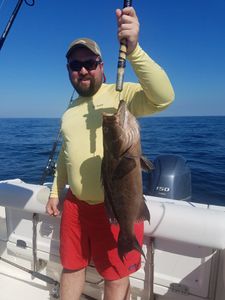 Gag Groupers in Pensacola, FL