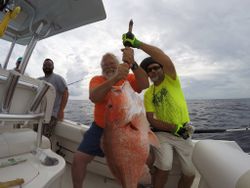 Red Snapper in Pensacola, FL