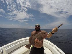 Speckled Hind in Pensacola, FL