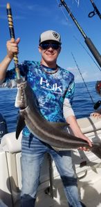Nice Cobia in Pensacola, FL