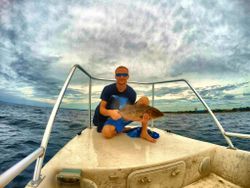 Gag grouper caught in FL