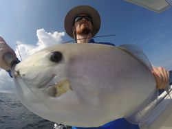 One person fishing in Pensacola