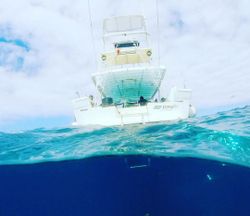 Best great fishing in Fajardo