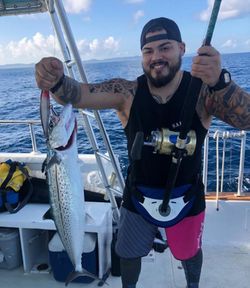 Cero mackerel caught while fishing in PR