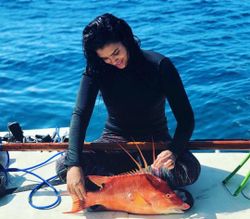 Hogfish caught by fisherman in Fajardo