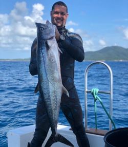Single king mackerel caught while fishing in Fajardo