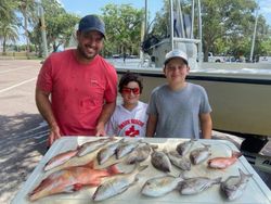 Red Snapper Fiesta! Fun Fishing In St Petersburg!