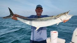 Amazing King Mackerel!