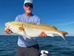 Red Drum Fever in St Petersburg!