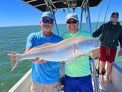 Awesome Redfish catch! #StPetersburgFishing