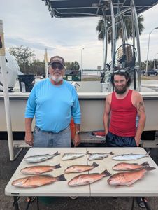 Fish-Species