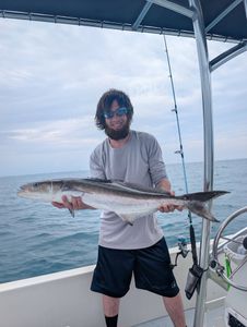Fish-Species