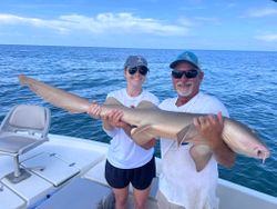 Fish-Species