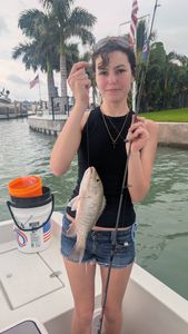 Fish-Species