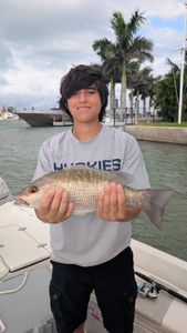 Fish-Species