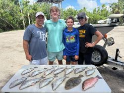 Fish-Species