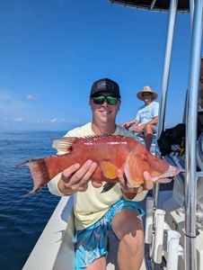 Angler holding a large, colorful hogfish in Florida