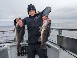 Two black rockfish, 23 inches long, caught in St. Petersburg