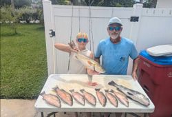 Four fishing rods with a catch of four fish in St. Petersburg
