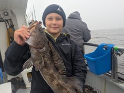 Lingcod, a huge fish, caught while fishing in St. Petersburg