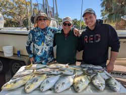 5 greater amberjack and horse-eye jack fish caught by 3 people in St. Petersburg
