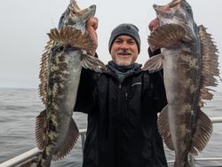 Lingcod fishing in St. Petersburg