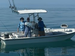 Permit fish caught fishing in St. Petersburg