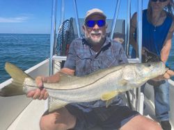 Snook fish caught while fishing in St. Petersburg