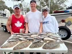 4 Summer Flounder fish caught on fishing trip in St. Petersburg