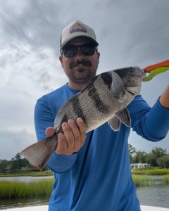 A single black drum fish caught in NC